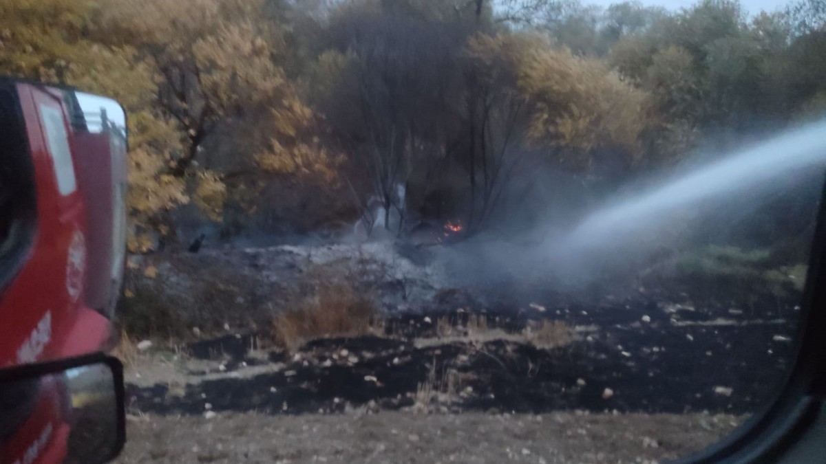 Besni’de Kesecik Köyü’nde çıkan yangın kontrol altına alındı  - Videolu Haber