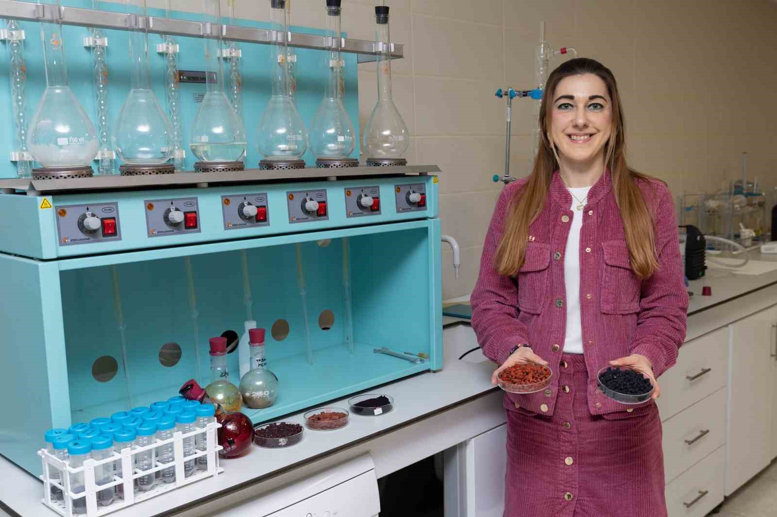 Kırmızı-mor meyvelerden fonksiyonel gıda ürünü