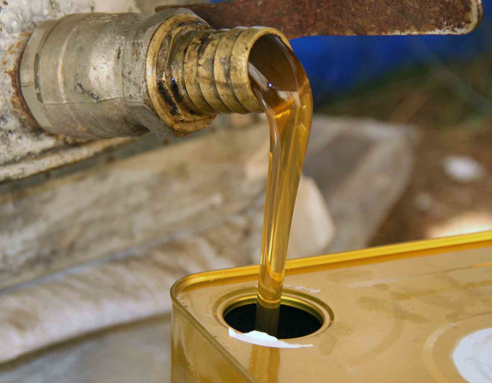 Türk çam balının dünya pazarındaki ekonomik payı arttırılacak